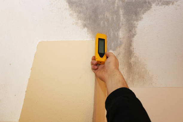 Best Mold Removal for HVAC Installations  in Rapid City, SD