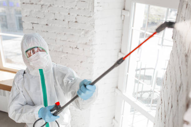 Best Mold Documentation for Insurance Claims  in Rapid City, SD