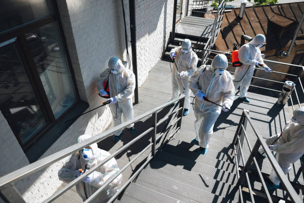 Best Environmental Consulting for Mold Prevention  in Rapid City, SD