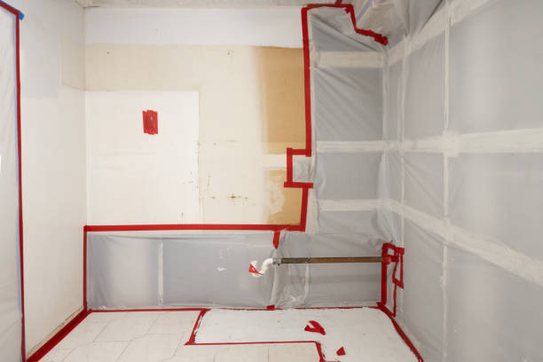 Best Emergency Mold Remediation  in Rapid City, SD
