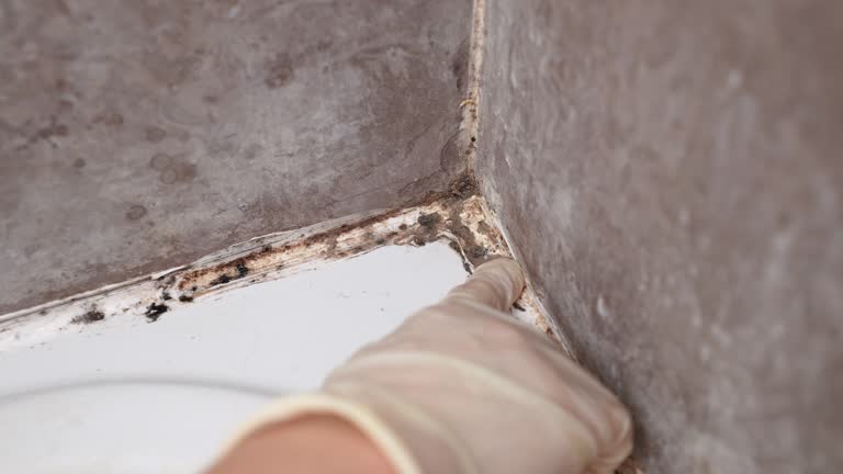 Best Airborne Mold Testing  in Rapid City, SD